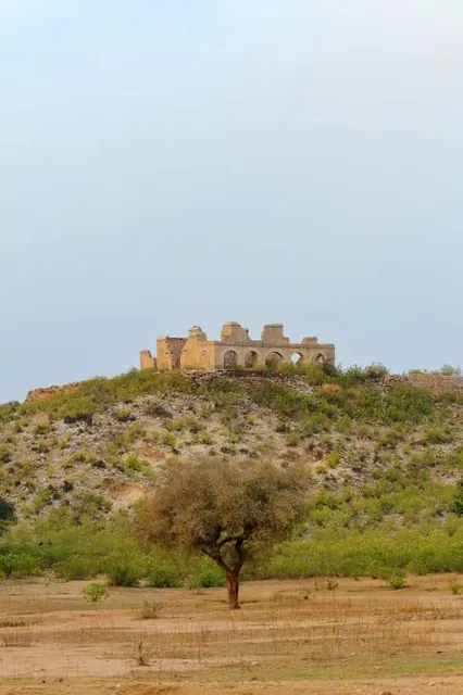 place image
