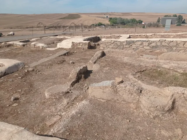 Contributa Iulia Ugultunia