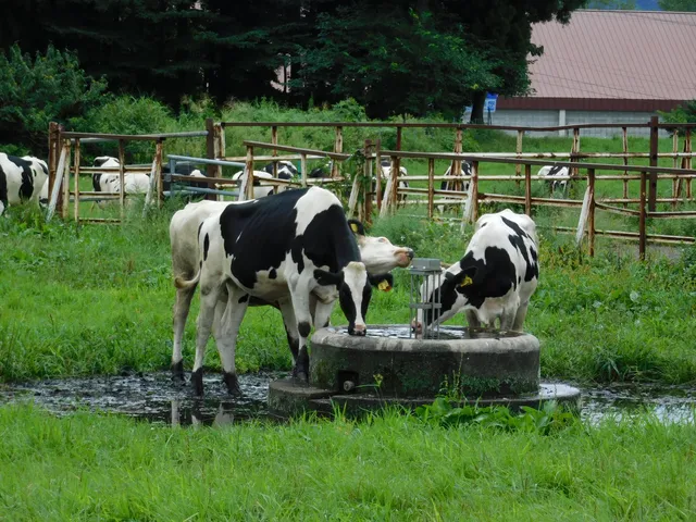 Okuetsu Highland Furusato Natural Park