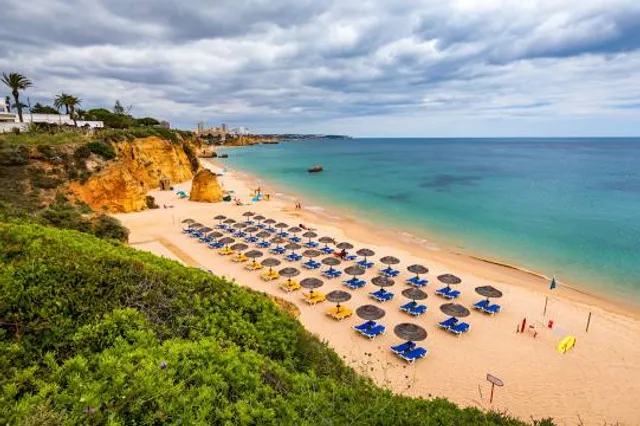Beach Alemão / Barranco das Canas