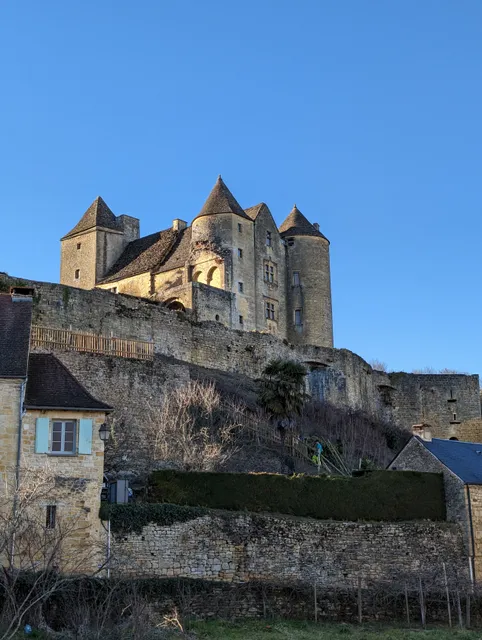 Château de Salignac