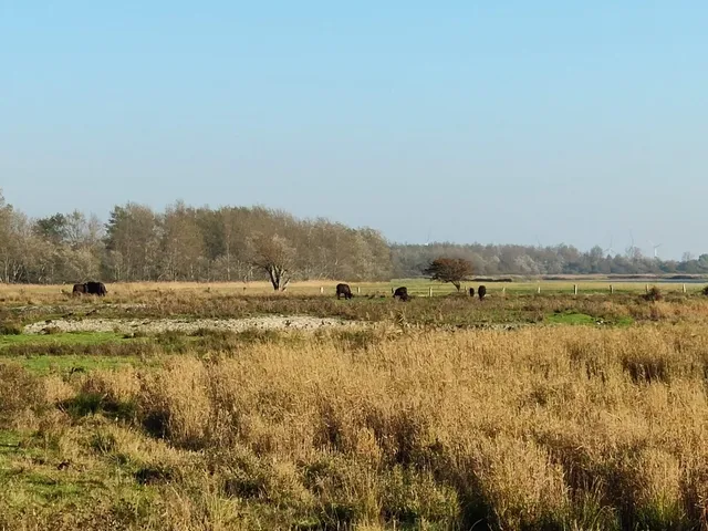 NABU Nature Center Katinger Watt