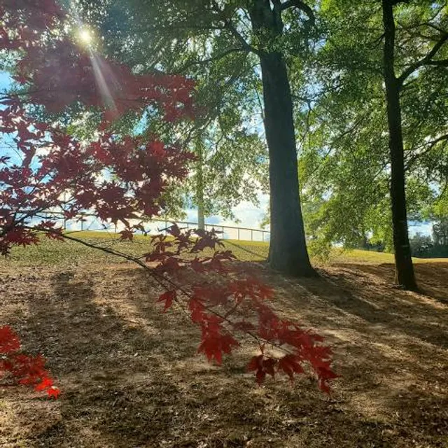 Johnny Henderson Park