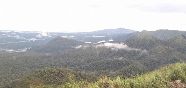 place image