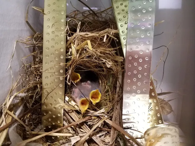 Eclipse Styling Salon