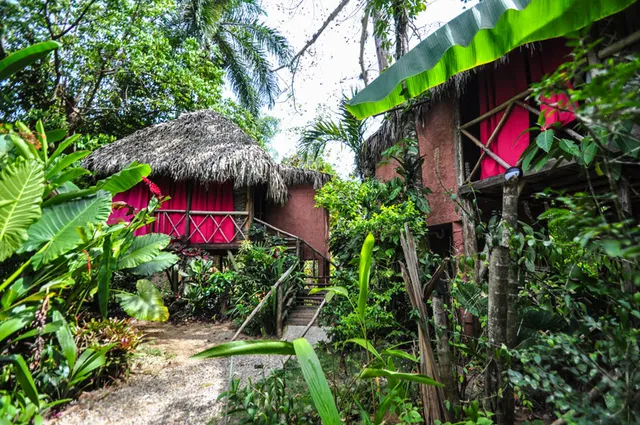 Samana Tropical Jungle Village - TREE HOUSE Hotel