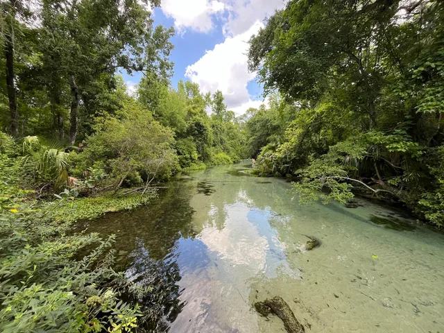 Kelly Park Hiking trails