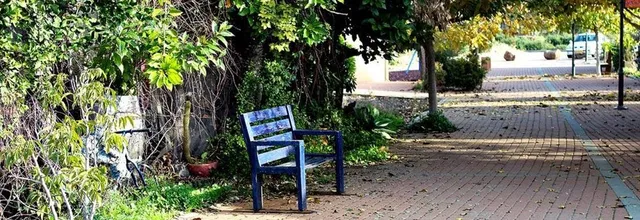 כפר אמנים אניעם