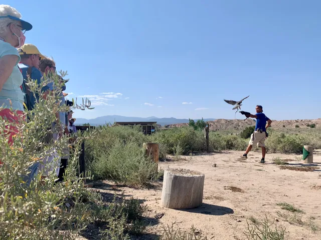 New Mexico Wildlife Center