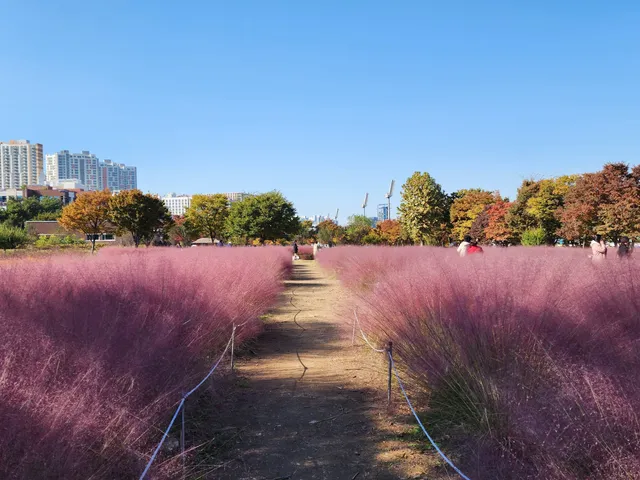 Misari Speedboat Park