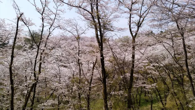 Metropolitan Takiyama Nature Park