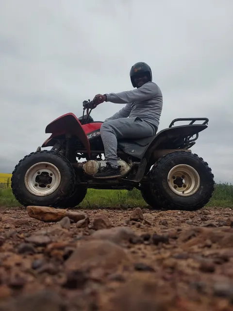 SA Forest Adventures