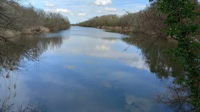 Rußheimer Altrhein-Elisabethenwört
