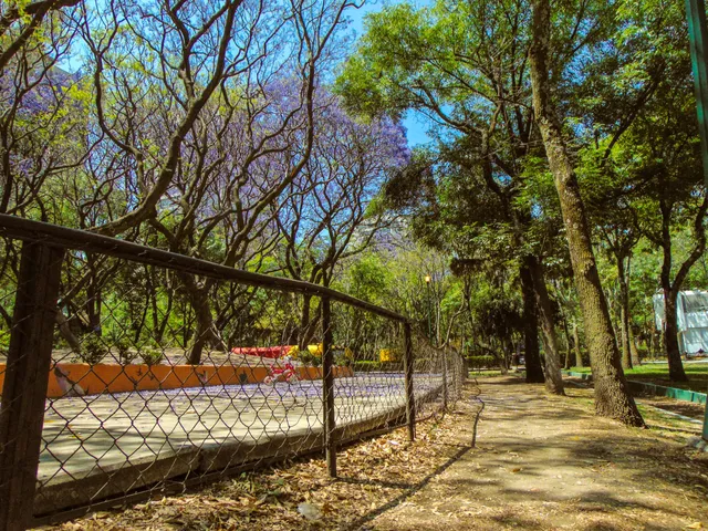 Parque Reforma Social