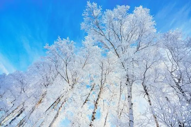 Park im. Miasta Roth w Raciborzu