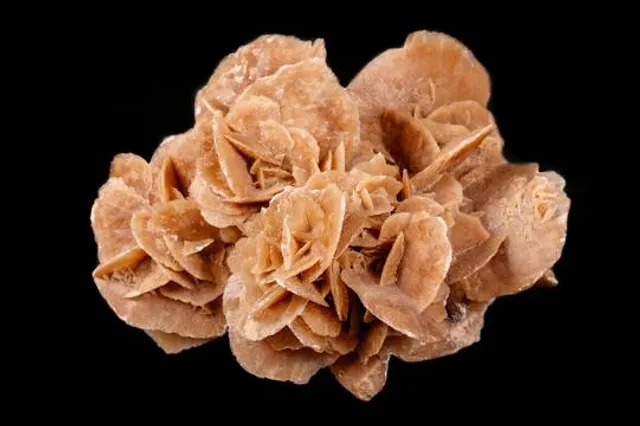 Museum of Mineralogy