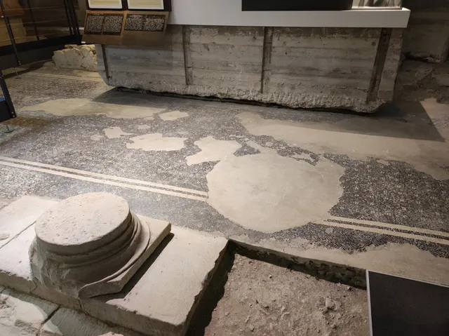 Abundance Street Domus