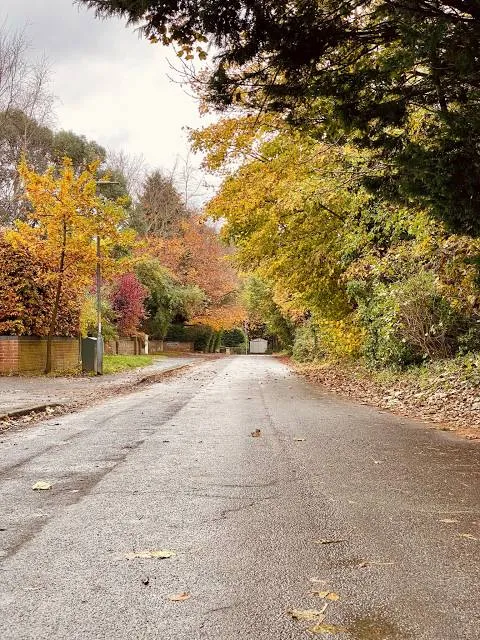 photo-3