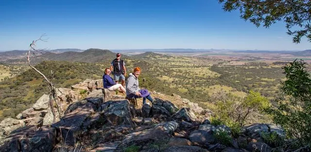 Coolah Tops National Park