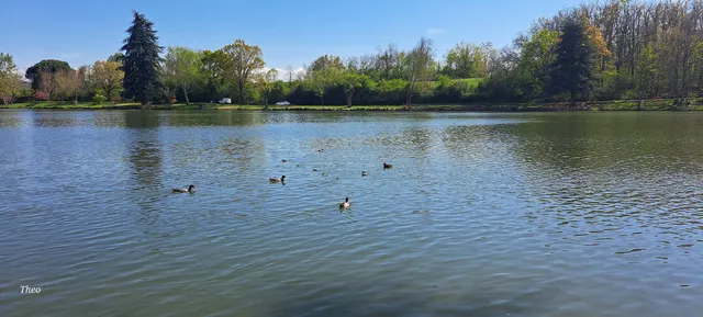 Lac Boulogne sur Gesse