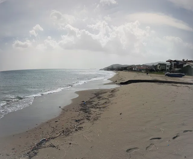 Guldal Container beach