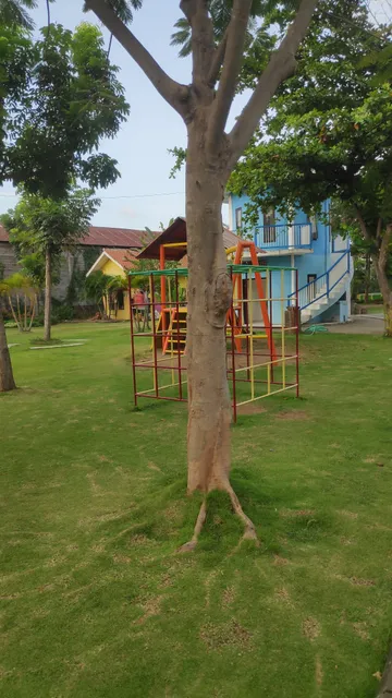 Taman Hayati & Skate Park