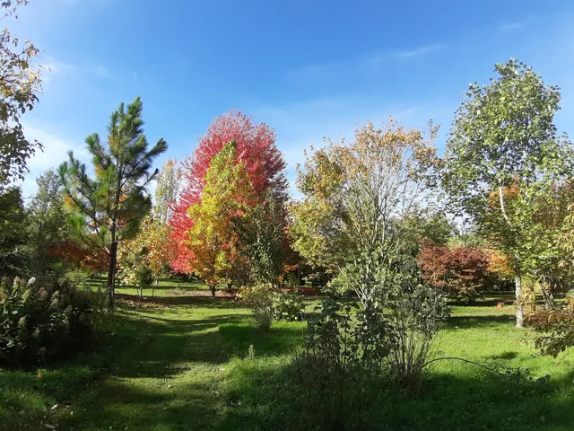 Association Des Amis de L'arboretum Adeline