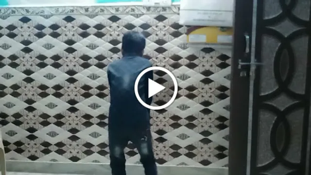 Shahi Biryani & Chicken Corner