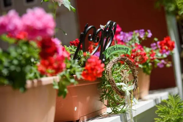 Apartments Petra, Marina