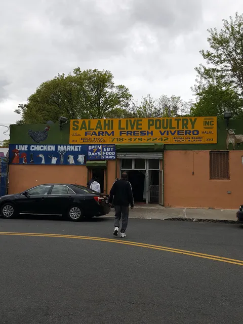 Salahi Live Poultry