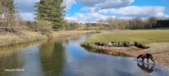 Forest Lodge Holidays