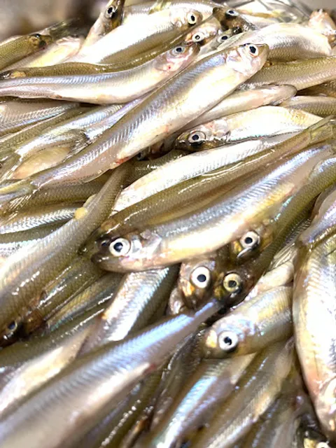 ごはんとお酒はる