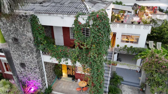 La Palmera Hostel and Coffee Shop