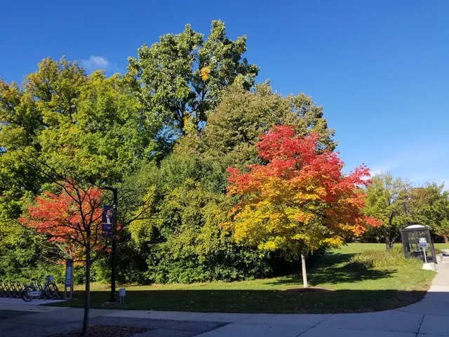 University of Michigan-Dearborn