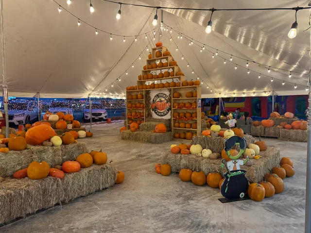 Hill Country Pumpkins