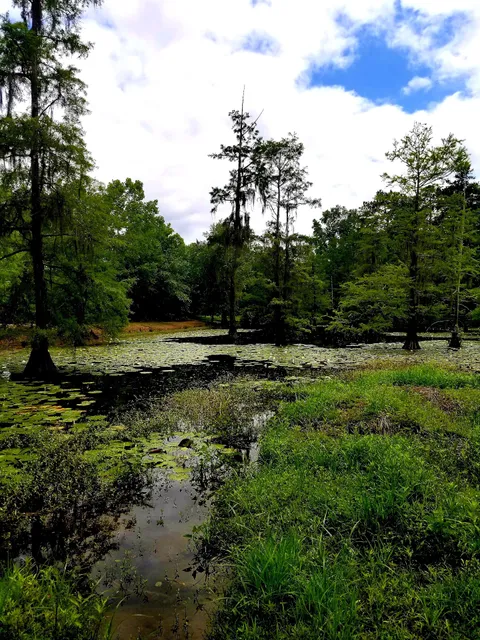 Robert A. Fowler Memorial Park