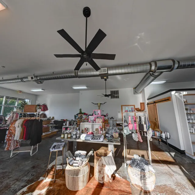 Bull + Thistle Boutique & Vinyl Emporium