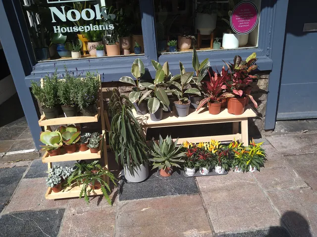 Nook Houseplants