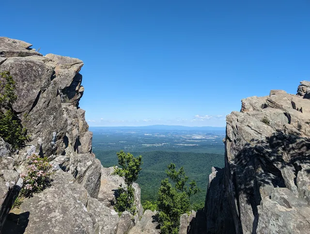 Humpback Gap Overlook