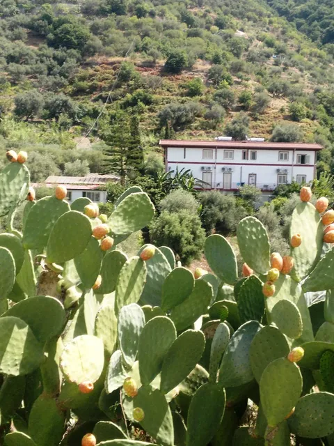 Michelangelo's House