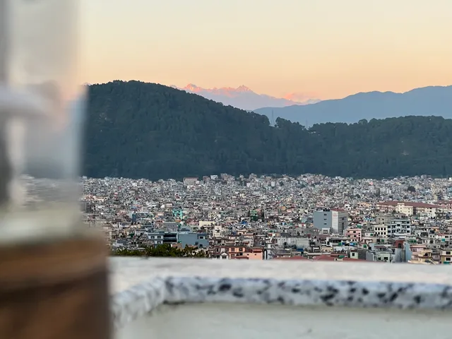 The Sparkling Turtle Backpackers Hostel