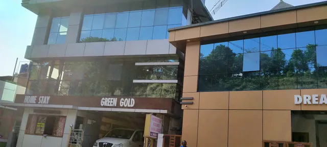 Green Gold Stay Home