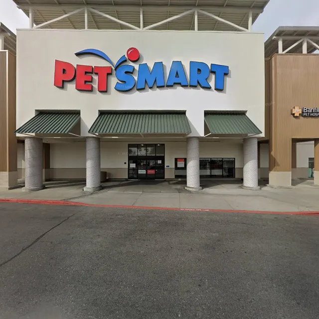 Cats About Town Society