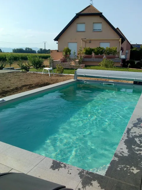 Les mésanges de l'Ill