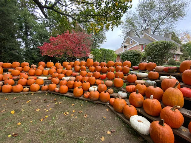 Glen Willow Orchards