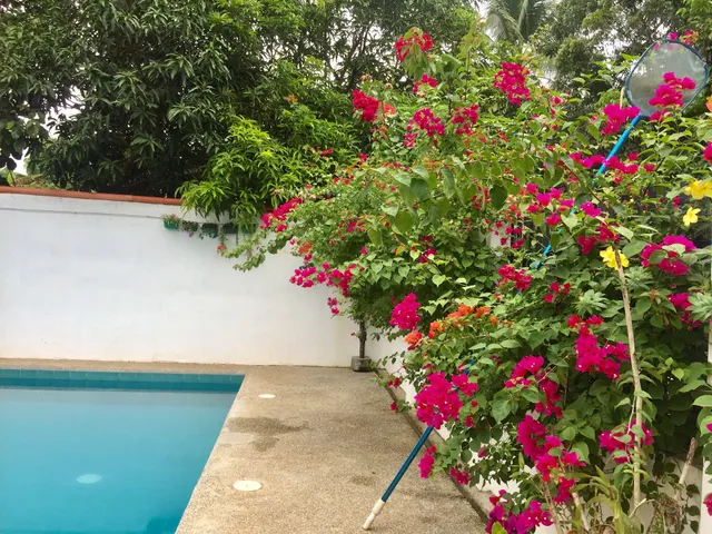 Larosa Hostel Bed and breakfast