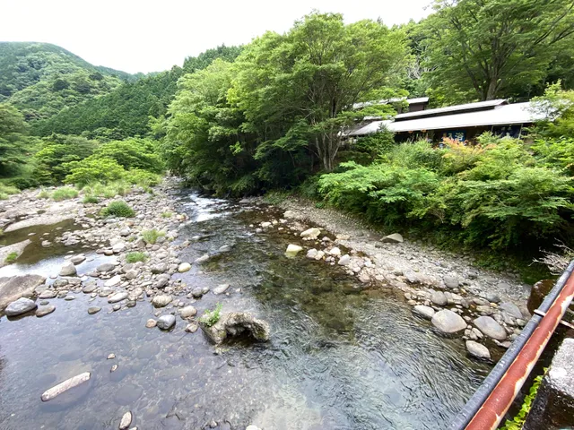 テルメいづみ園