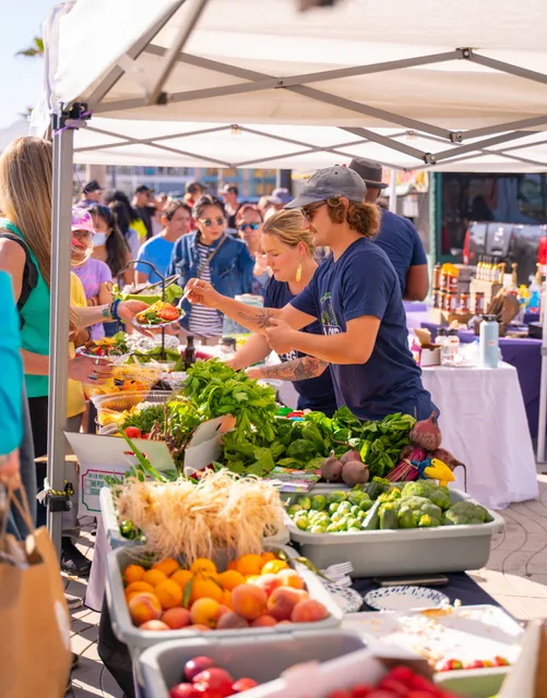 SLO VEG / Local Fruit & Vegetable Box Delivery To Your Door