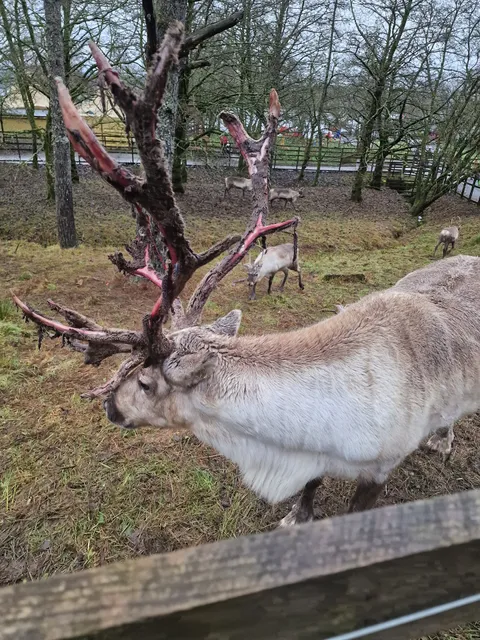 Kielder Winter Wonderland
