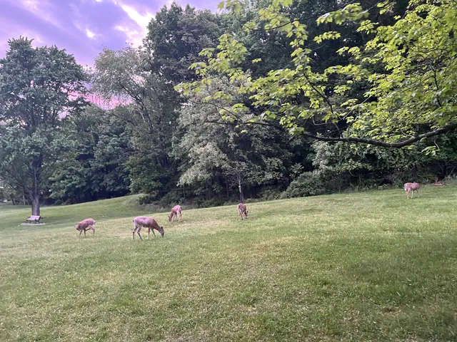 Garret Mountain Reservation Parking